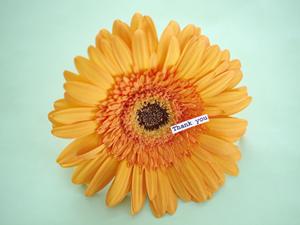 ごはんが美味しく炊ける土鍋あります