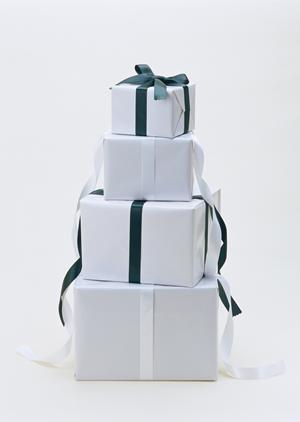 スノボー・スケボーファンのためのスノボー通販サイト